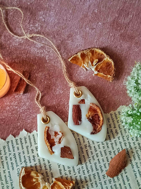 Wax Sachet - Arrowhead (Set of 2)