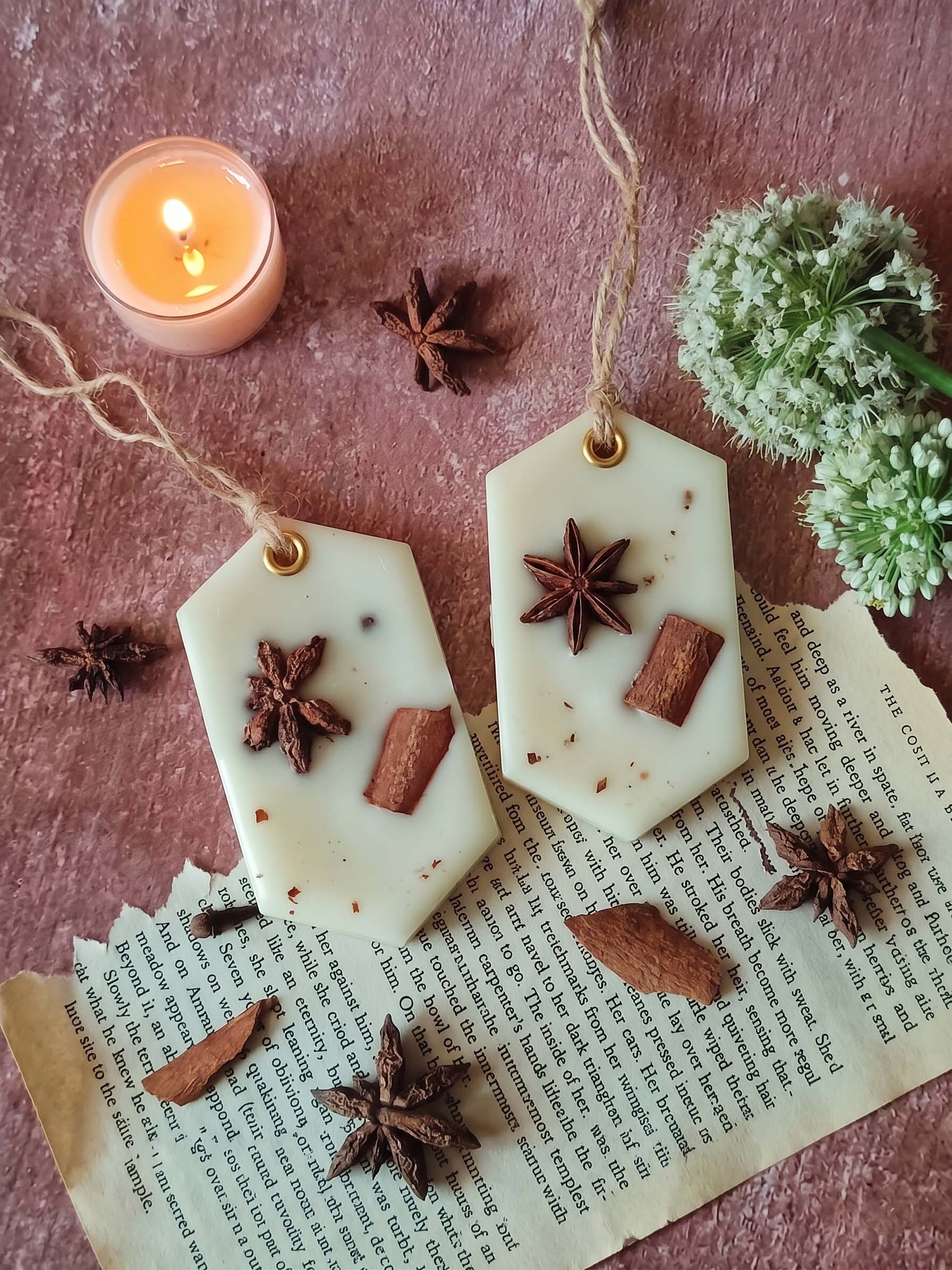 Wax Sachet - Hexagon (Set of 2)