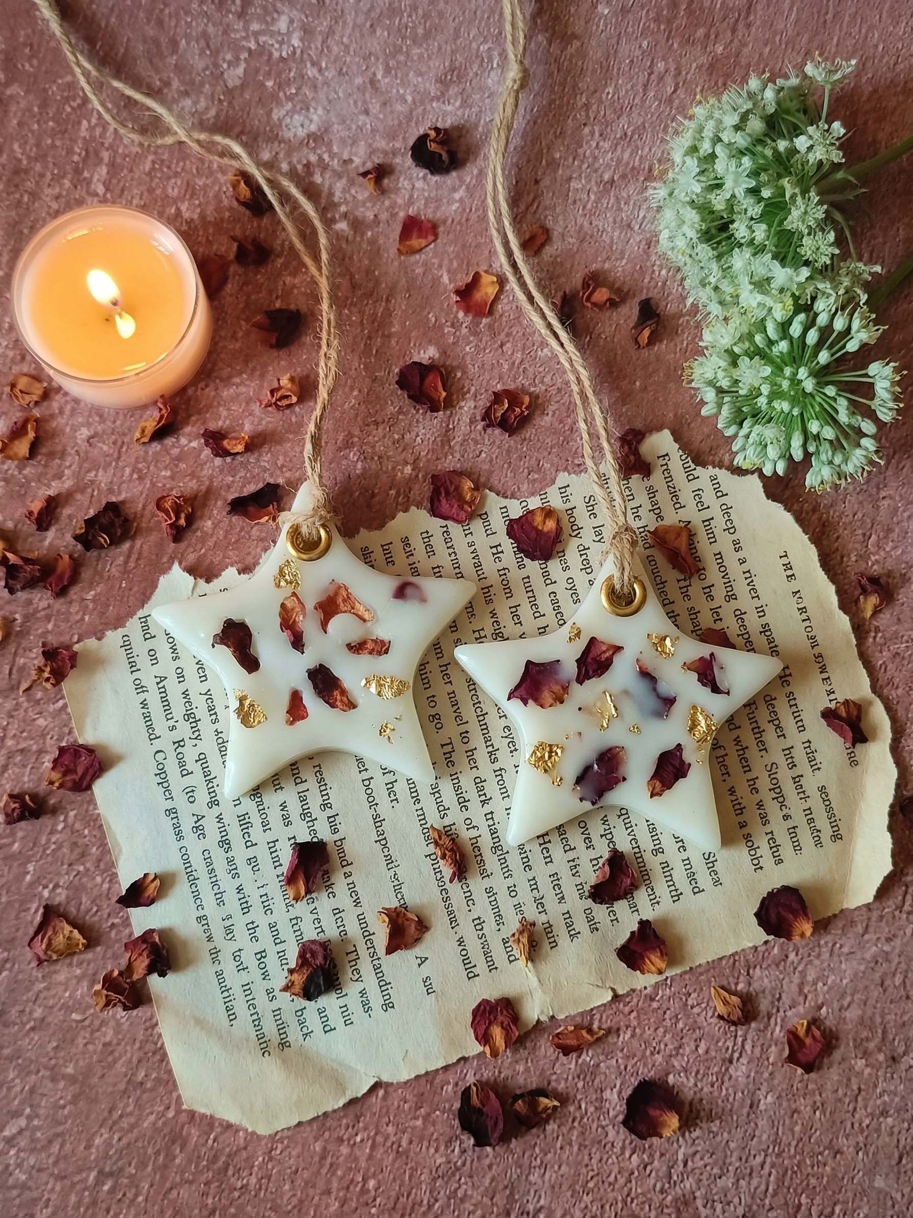 Wax Sachet - Star (Set of 2)